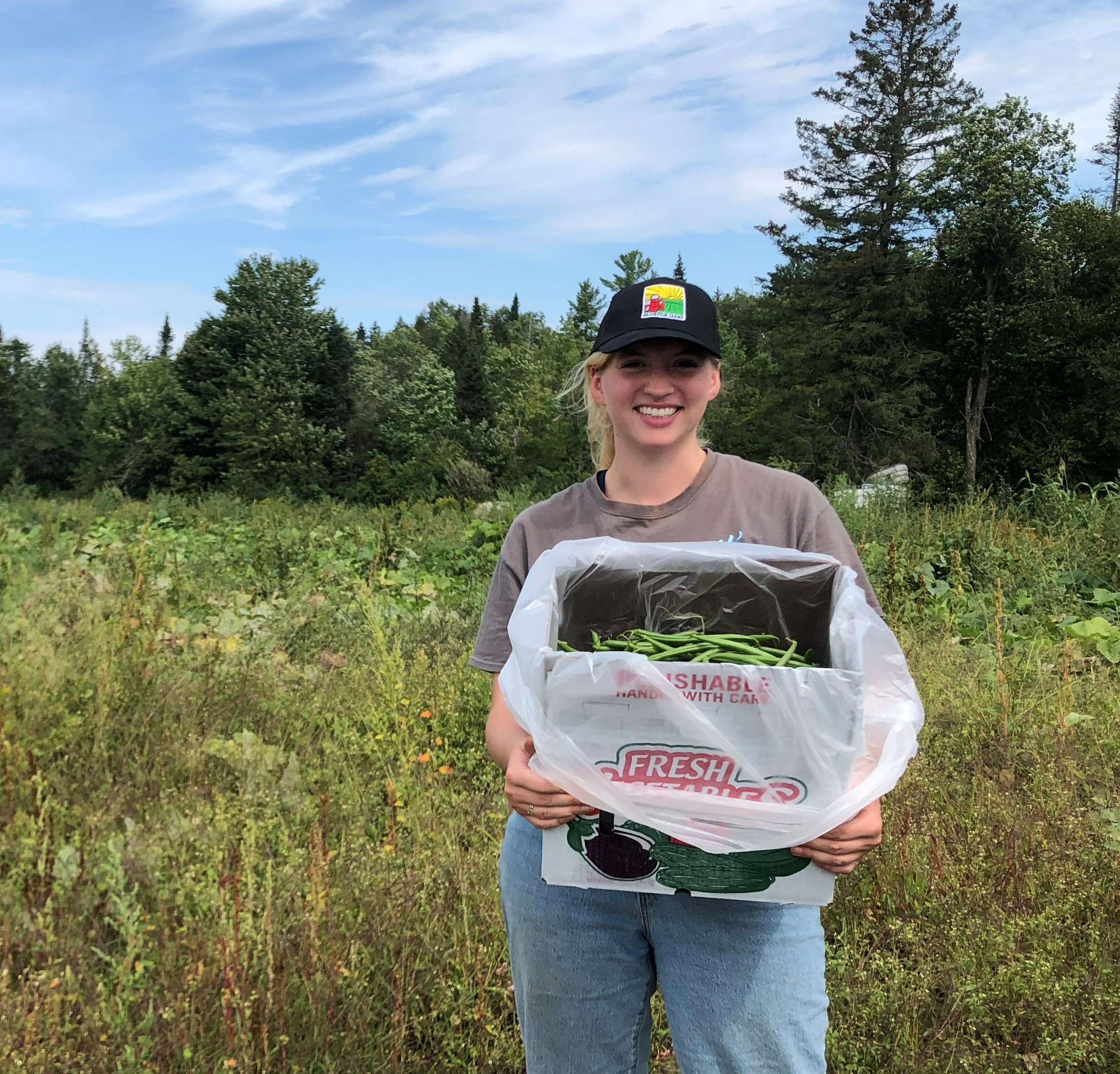 Potato Gleaning Community Service Opportunity